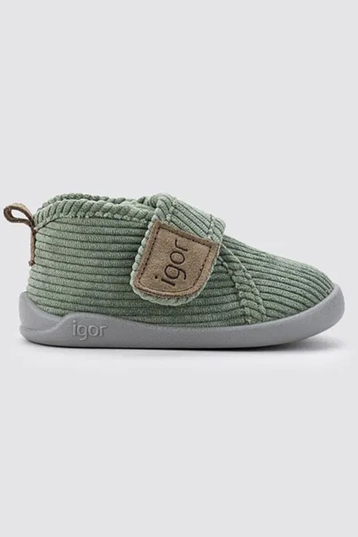 W10310-IGR013